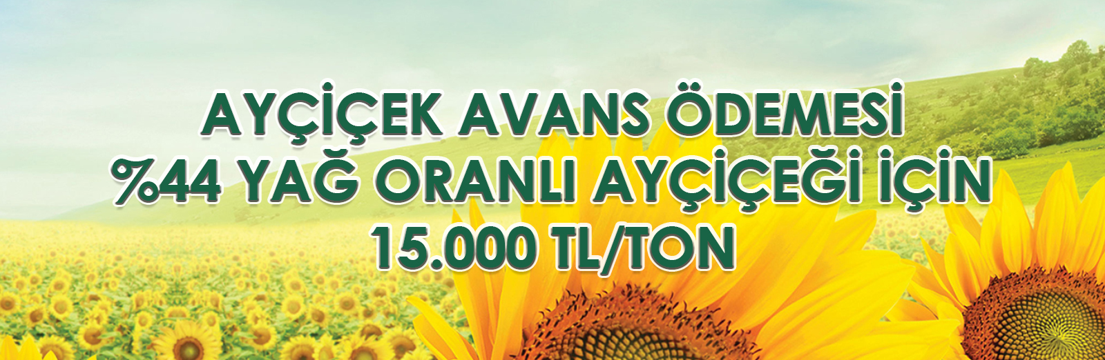 %44 YAĞ ORANLI AYÇİÇEĞİ İÇİN 15.000 TL/TON AVANS ÖDEMESİ